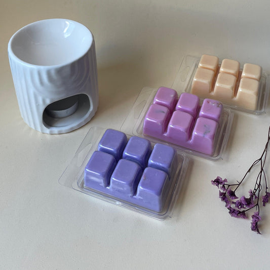 Pack quemador + wax melts