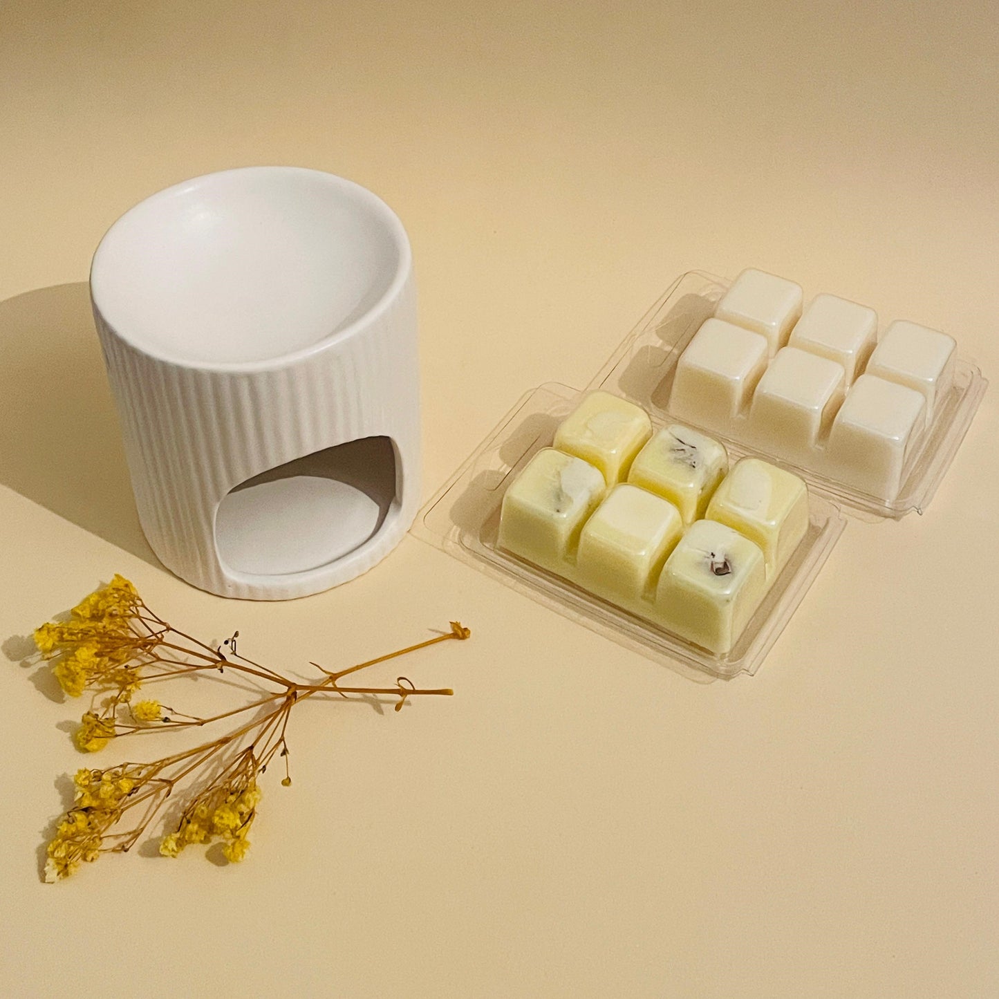 Pack quemador + wax melts