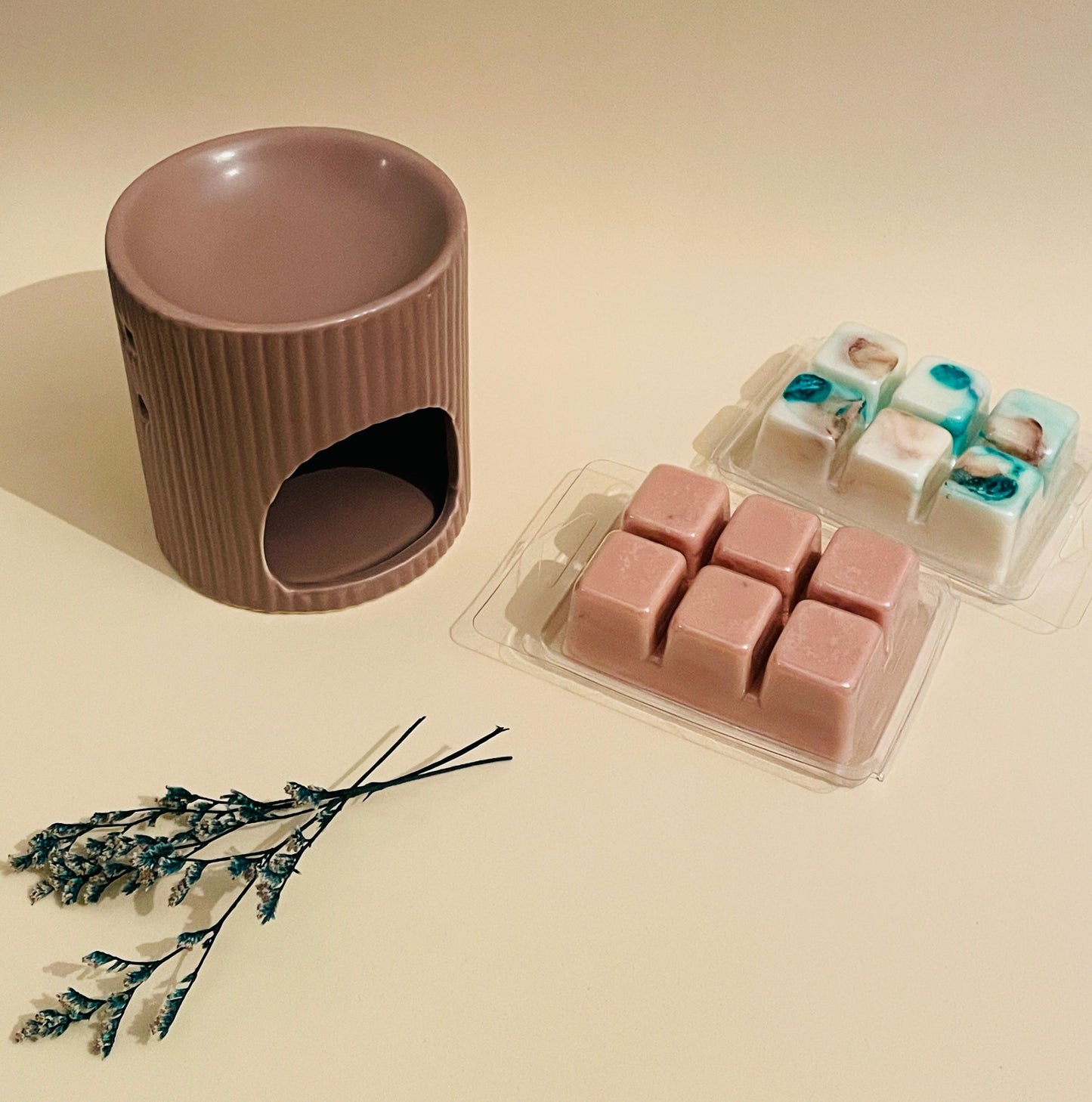 Pack quemador + wax melts